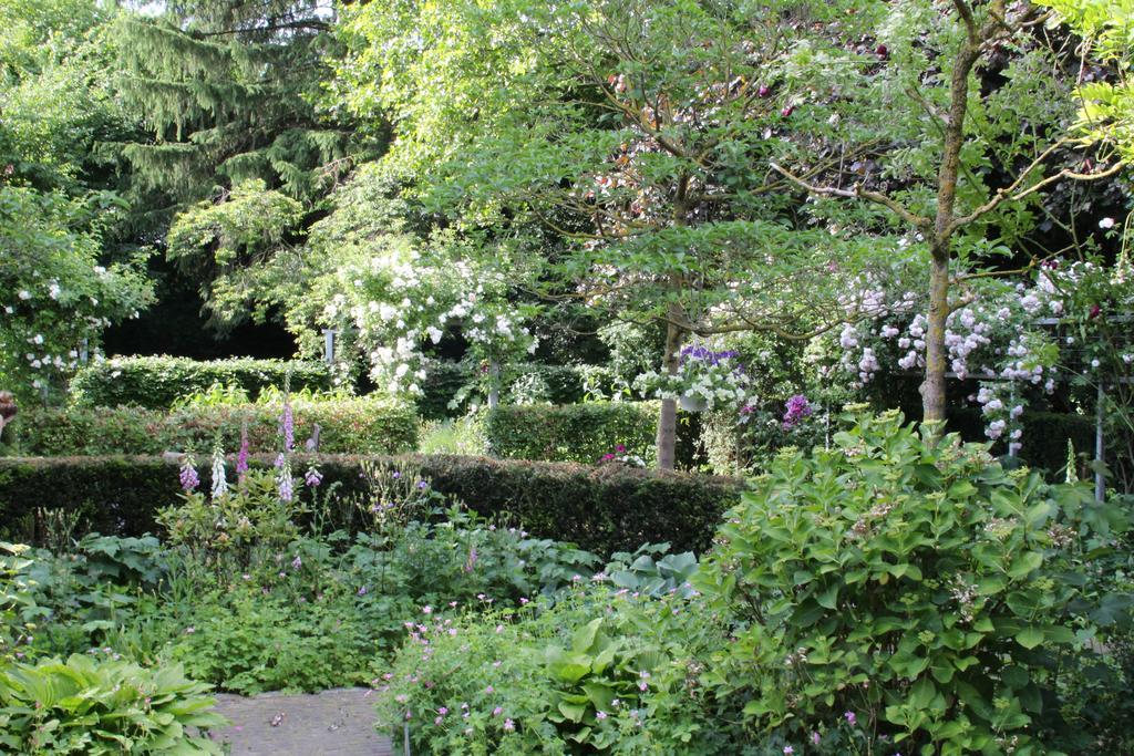 Annelies'Place To B& B Maastricht Rom bilde